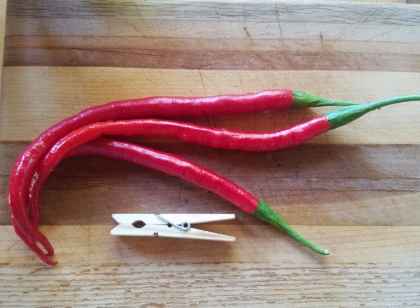 Joe's Long Cayenne Pepper (25 Seeds Free Shipping, sweet and spicy