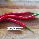Joe's Long Cayenne Pepper (25 Seeds Free Shipping, sweet and spicy