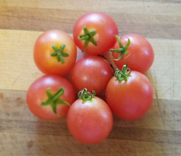 Rosy Finch Micro Dwarf Tomato (20 Seeds - and sweet