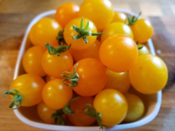 Pinocchio Orange Micro Dwarf Tomato (15 Seeds - cute and tasty