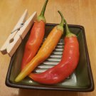 Aji Crystal Pepper (20 Seeds Free Shipping, spicy and crispy