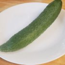 Suyo Long Asian Cucumber (20 Seeds, Free Shipping, fresh for 2024