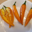 Shipka / Bulgarian Carrot Pepper (20 Seeds Free Shipping, hot and spicy