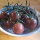 Black Cherry - Cherry Tomato (30 Seeds - Free Shipping, fresh for 2024