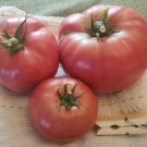 Soldacki Tomato (20 Seeds - Free Shipping, large tomatoes great flavor