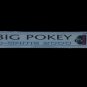 SEALED, Big Pokey – D Game 2000, 1st edition, audio cassette, US
