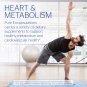 Pure Encapsulations - PureLean Ultra - Vegetarian Pea Protein and Fiber Blend with Green Tea and Ste