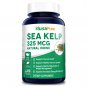 Sea Kelp 325mcg 200 Veggie Capsules (Non-GMO & Gluten Free,Made with Organic kelp) - for Weight Loss