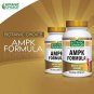 Botanic Choice Ampk Formula, Capsules, 90 Count