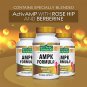 Botanic Choice Ampk Formula, Capsules, 90 Count