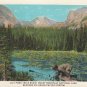 Union Pacific Railway Postcard - 1931 - Lily Pond