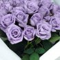 Rose Cuttings (3) of Blue 'Applause' Rose Ready to root Make Your Own Plants