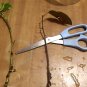 Giant Lemon Ponderosa Fruiting Tree (3) fresh cuttings Ready To Root Make Plants