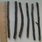 3 GOLDEN DELICOUS APPLE TREE Cuttings Grafting No Roots Make Your Own Plants