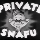 Private Snafu (Rare 943-1946 DVD)