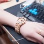 Classic Deer Icon Women Watches All Bamboo Wristwatch for Ladies