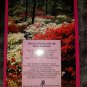 Successful Gardening in the Greater Washington Area