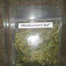 BLACKCURRANT LEAF USED TO REMOVE NEGATIVE ENERGY FROM RELATIONSHIPS