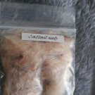 CATTAIL SEEDS USED FOR PROTECTION, MONEY AND LUCK