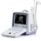 EMP2100 portable ultrasound
