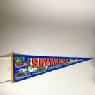 Vintage Savannah Georgia Felt Pennant Flag Banner Sign Travel Souvenir