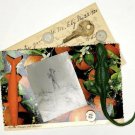 Beach Vacation 9 Piece Vintage Smalls And Ephemera Flat Lay Lot