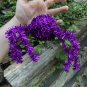 Vintage Halloween Purple Tinsel Spider About 8â X 6â