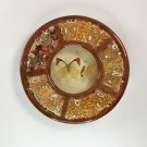 Vintage Taxidermy Butterfly Egg Tray