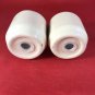 Vintage Mississippi Gulf Coast Shaker Set