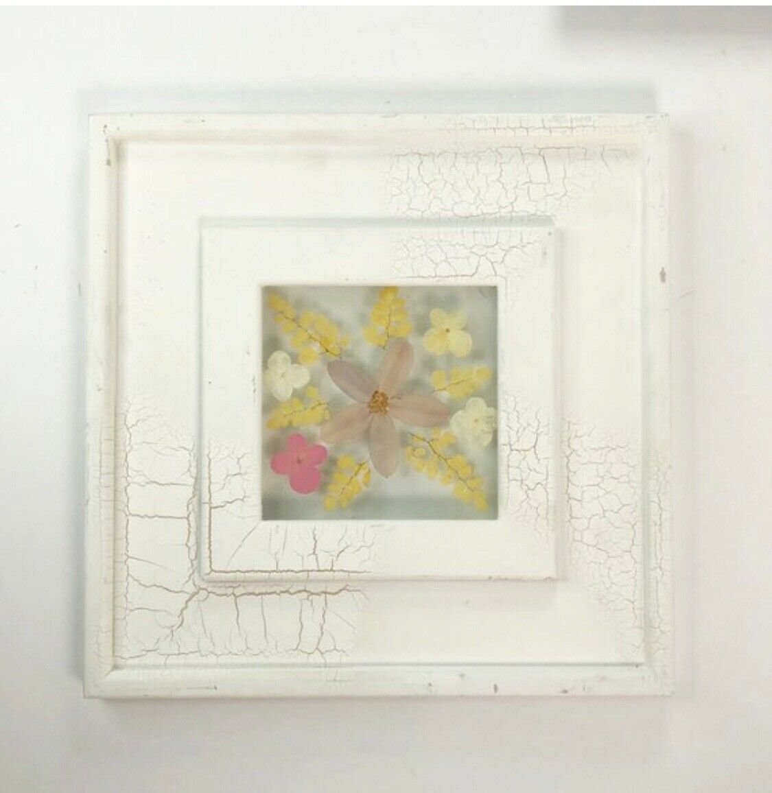 Framed Pressed Spring Wild Flowers | 10" x 10"