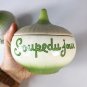 Vintage Soupdejour Onion Jars  Lorrie Design  4&acirc;�� x 4&acirc;�� Set Of 2