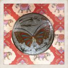 Mid-Century Brass Butterfly Trinket Box | 6" x 2"
