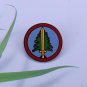 David Lynch Twin Peaks Pin Agent Cooper Log Lady Wooden Gotta Light Fire Walk Woodsman Audrey