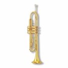 Gold Plated Sandblast Bb Trumpet,  (lib)