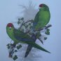 Limited Edition Vintage Bird Print