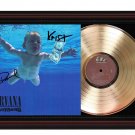 NIRVANA  "Nevermind"  Framed Record Display.