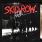 SKID ROW Framed Record Display.