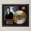 RICK ASTLEY "Never Gonna Give You Up" Laser Etched Limited Edition LP Record Framed Display