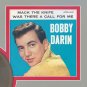 BOBBY DARIN "Mack the Knife" Framed Picture Sleeve Gold 45 Record Display