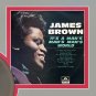 JAMES BROWN "It's Man's Man's World" Framed Picture Sleeve Gold 45 Record Display