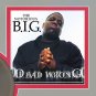 THE NOTORIOUS B.I.G.  "Dead Wrong"  Framed Picture Sleeve Gold 45 Record Display