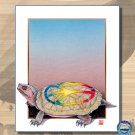 DWR-006M - Peace Turtle