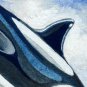 DWR-015M - Killer Whale
