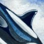 DWS-015 - Killer Whale
