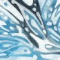 DWS-015 - Killer Whale