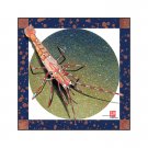 DWS-016 - Banded Shrimp