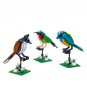 Ideas 21301 Birds Model Building Kit