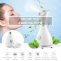 Pro Nano Ionic Facial Steamer Face Sprayer Salon Beauty Skin Care Machine