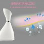 Pro Nano Ionic Facial Steamer Face Sprayer Salon Beauty Skin Care Machine