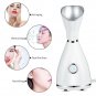 Pro Nano Ionic Facial Steamer Face Sprayer Salon Beauty Skin Care Machine